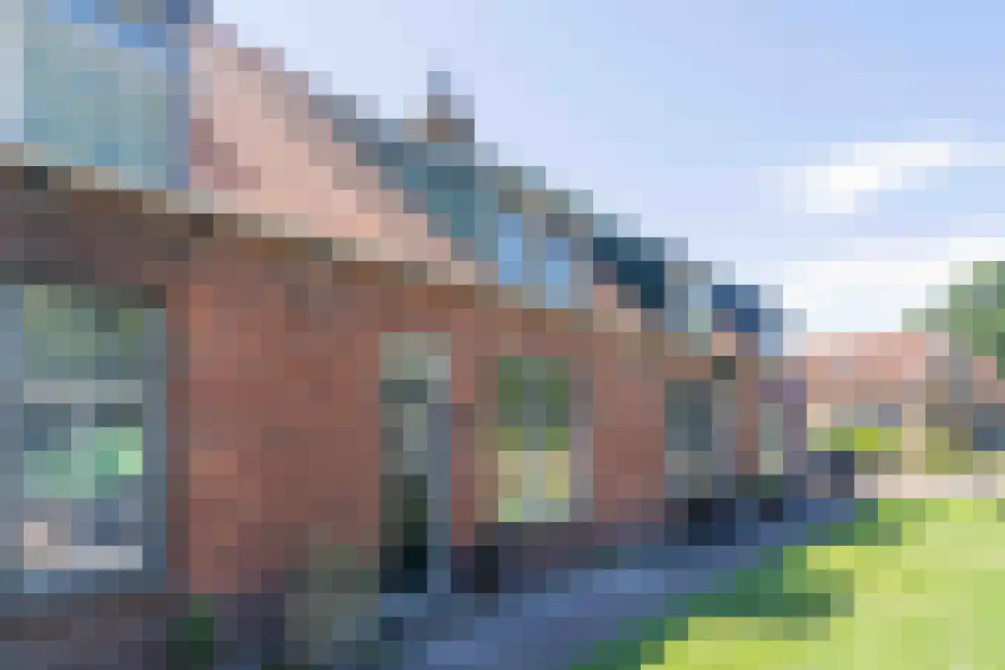 Schelpweg 12 Ellemeet thumbnail 39