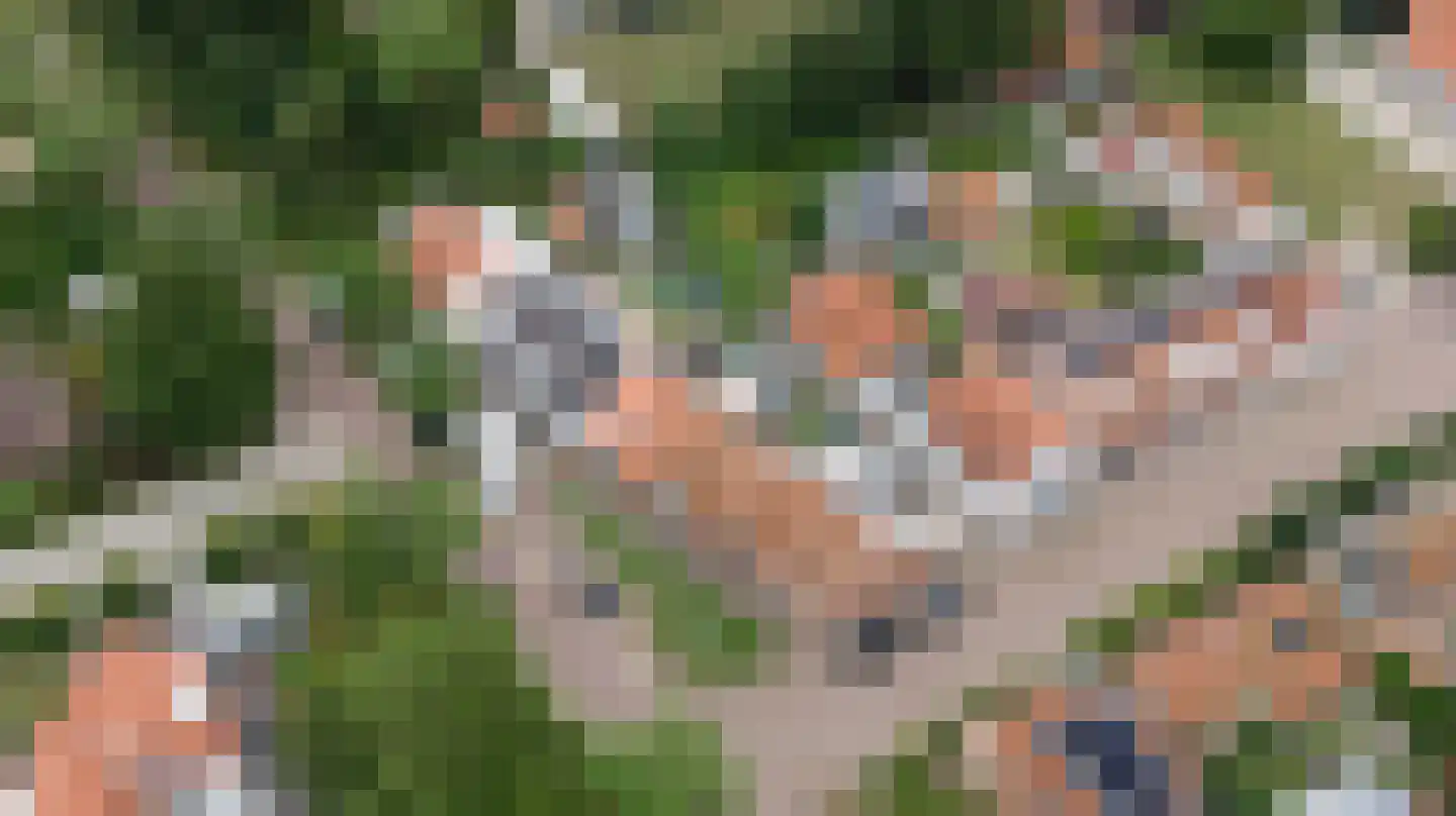 Schelpweg 12 Ellemeet thumbnail 40