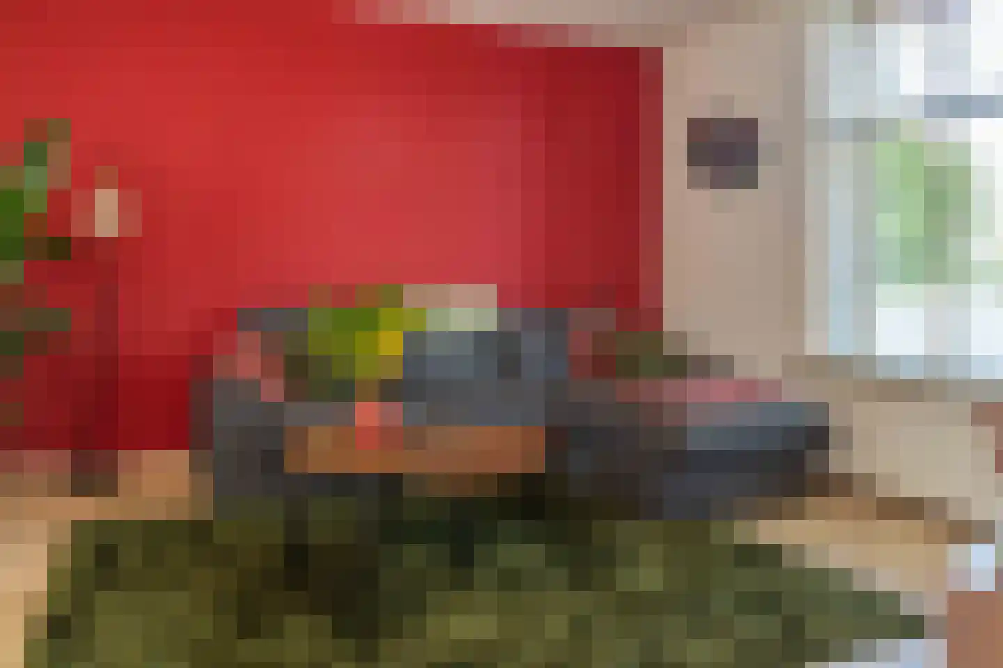 Schelpweg 12 Ellemeet thumbnail 5