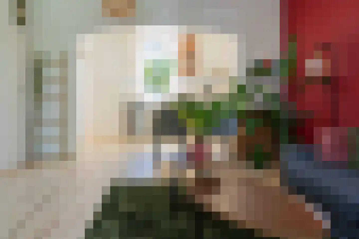 Schelpweg 12 Ellemeet thumbnail 7