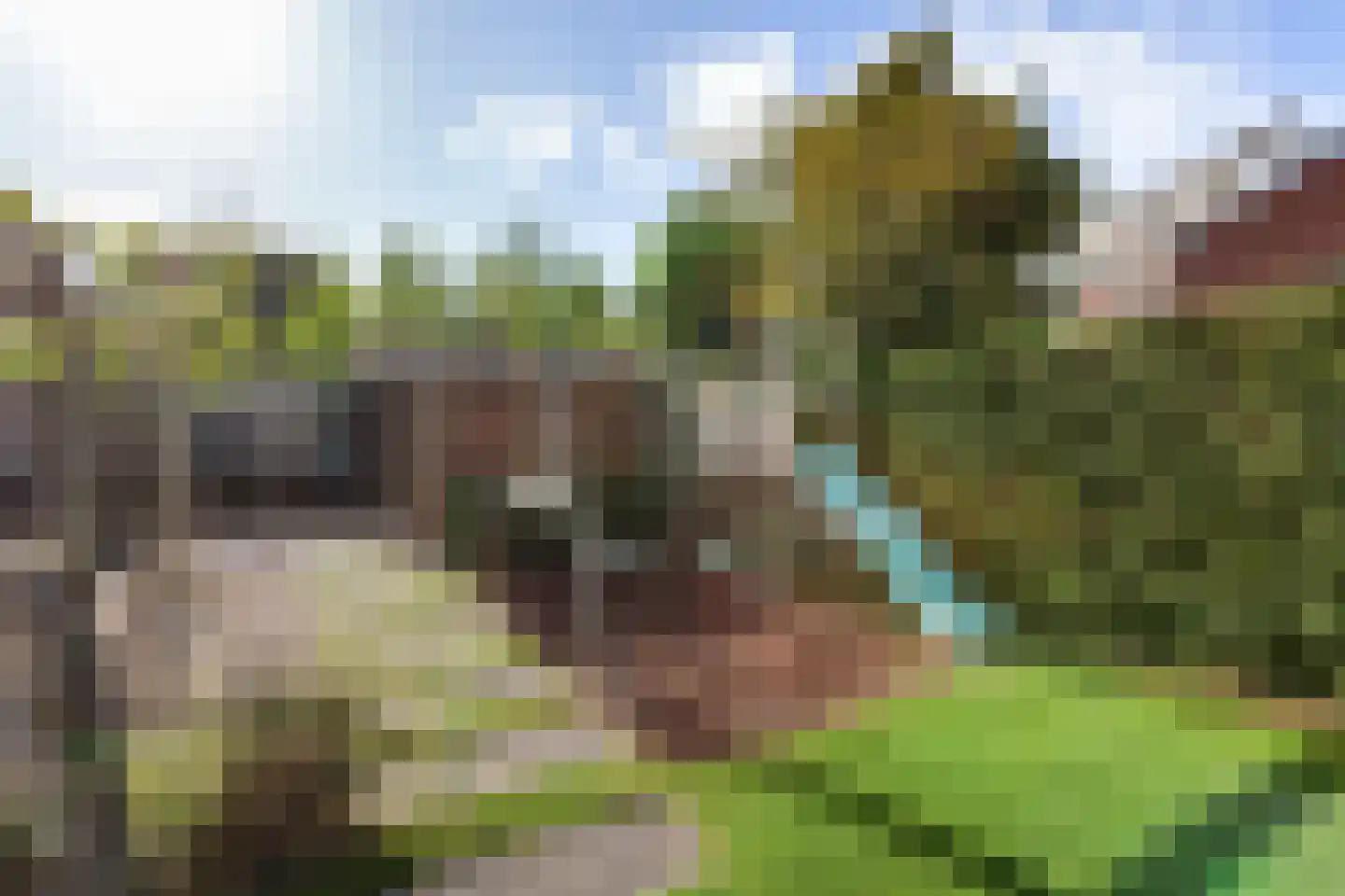 Schelpweg 14 Hoek van Holland thumbnail 35
