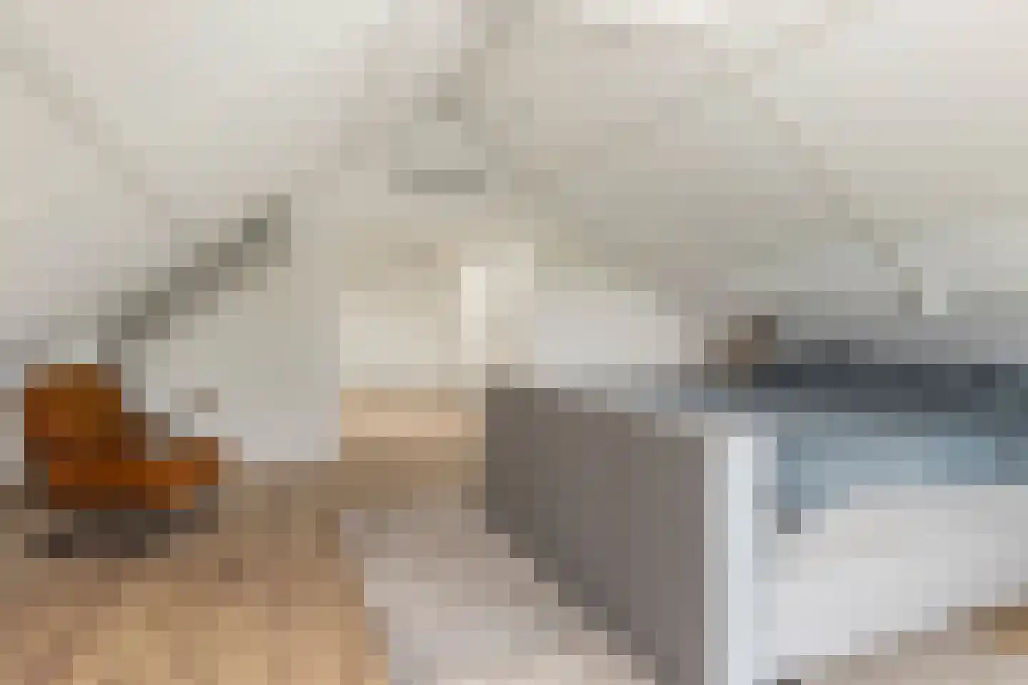 Schelpweg 17 Ellemeet thumbnail 31