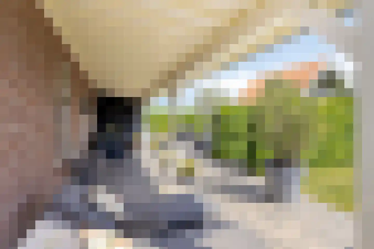 Schelpweg 17 Ellemeet thumbnail 38