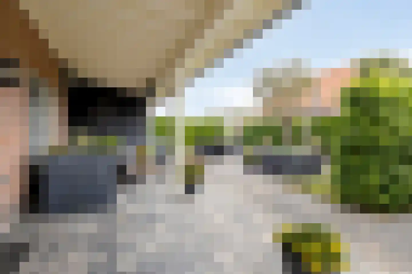 Schelpweg 17 Ellemeet thumbnail 44