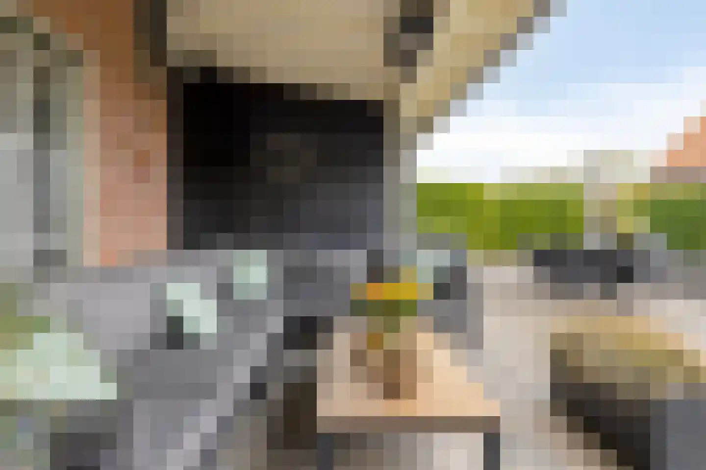 Schelpweg 17 Ellemeet thumbnail 44