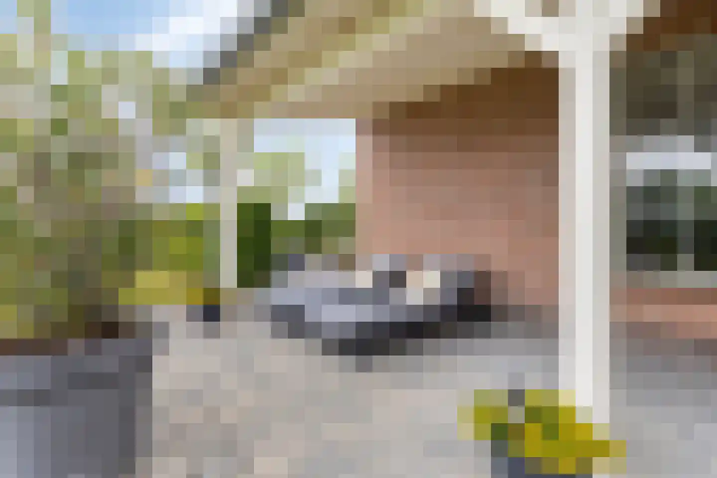 Schelpweg 17 Ellemeet thumbnail 45