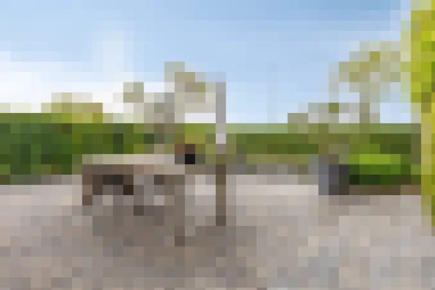Schelpweg 17 Ellemeet thumbnail 46