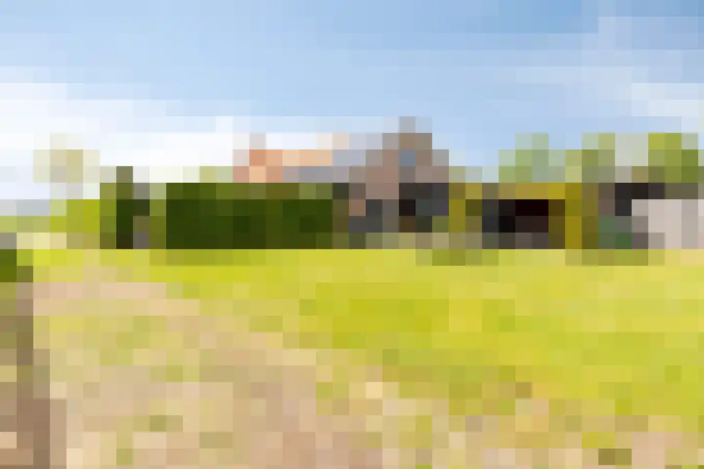 Schelpweg 17 Ellemeet thumbnail 47