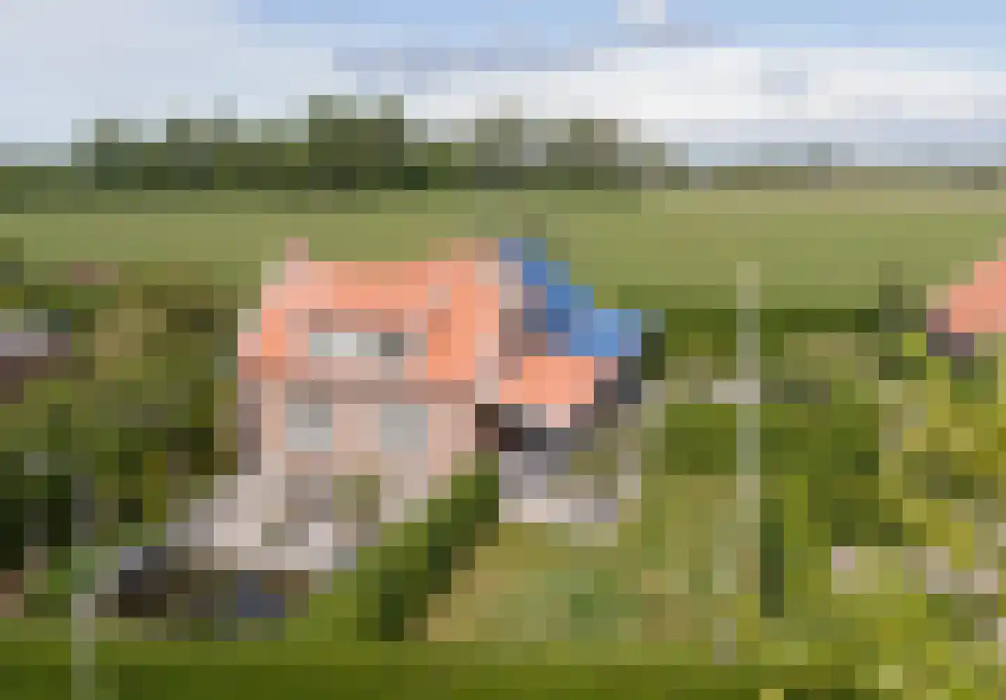 Schelpweg 17 Ellemeet thumbnail 52