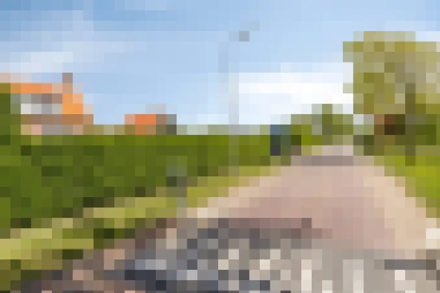 Schelpweg 17 Ellemeet thumbnail 53