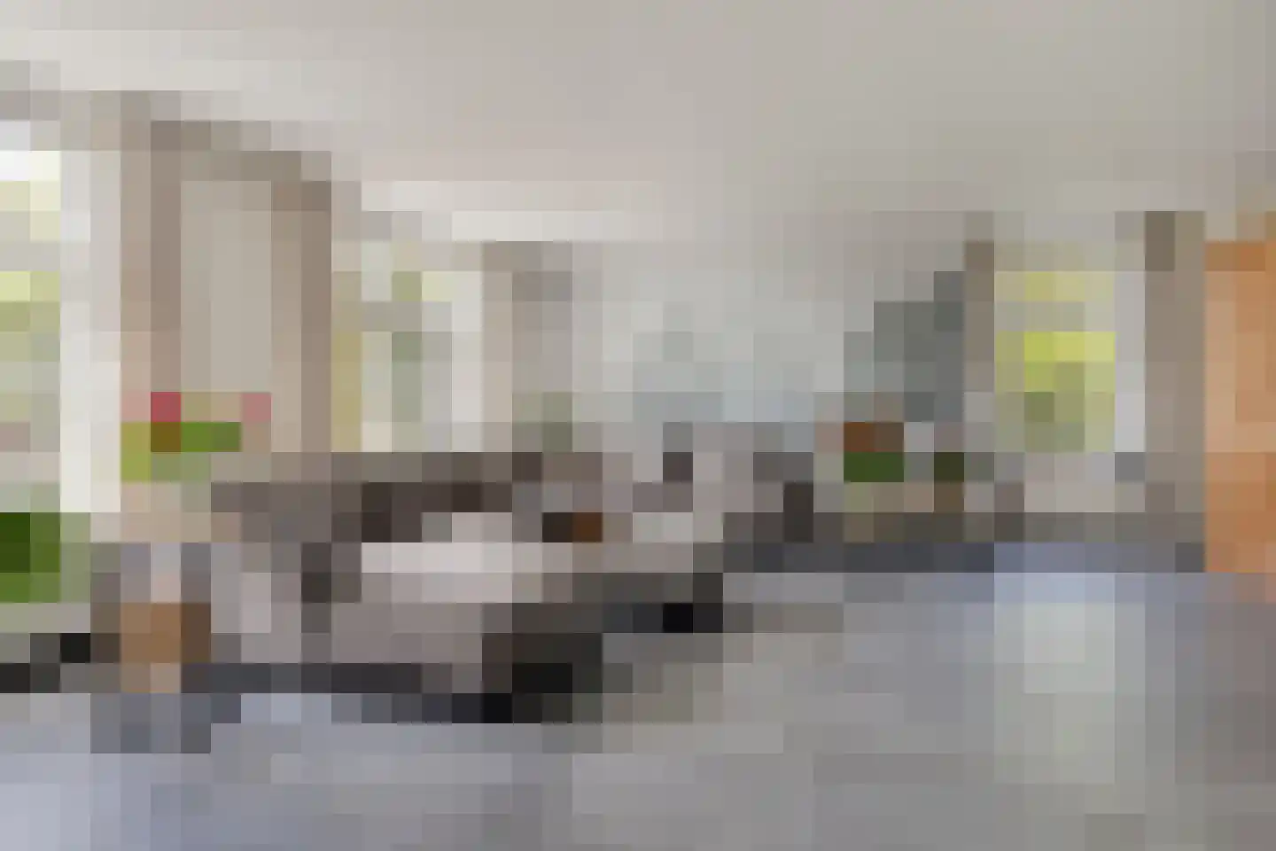 Schelpweg 17 Ellemeet thumbnail 9