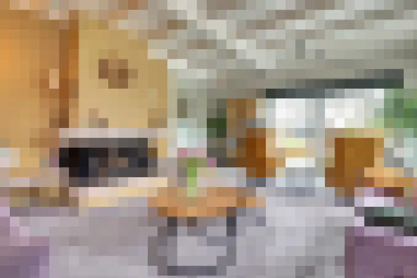Schelpweg 21 Ellemeet thumbnail 10