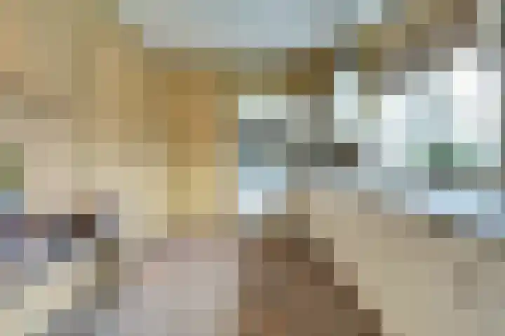 Schelpweg 21 Ellemeet thumbnail 16