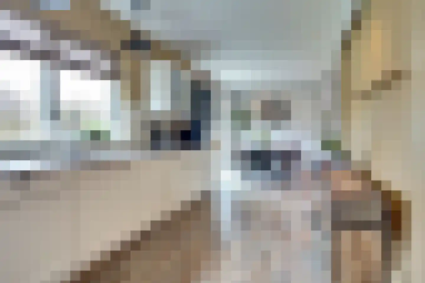 Schelpweg 21 Ellemeet thumbnail 18