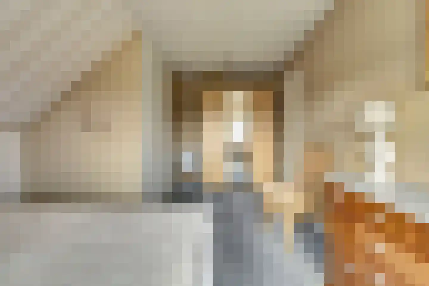 Schelpweg 21 Ellemeet thumbnail 22