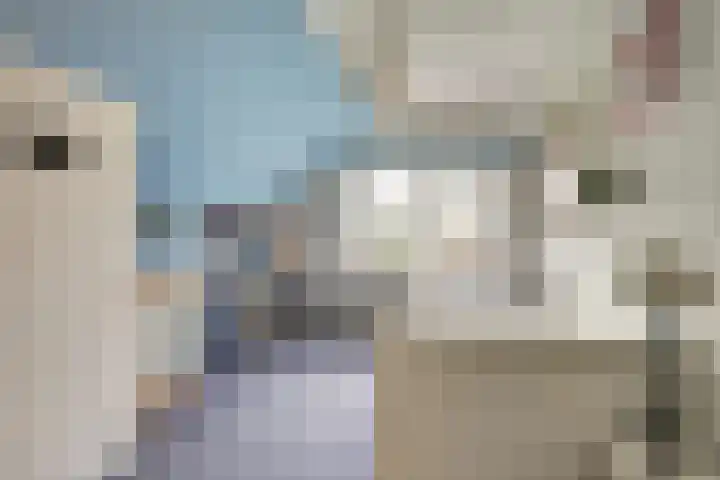 Schelpweg 21 Ellemeet thumbnail 31