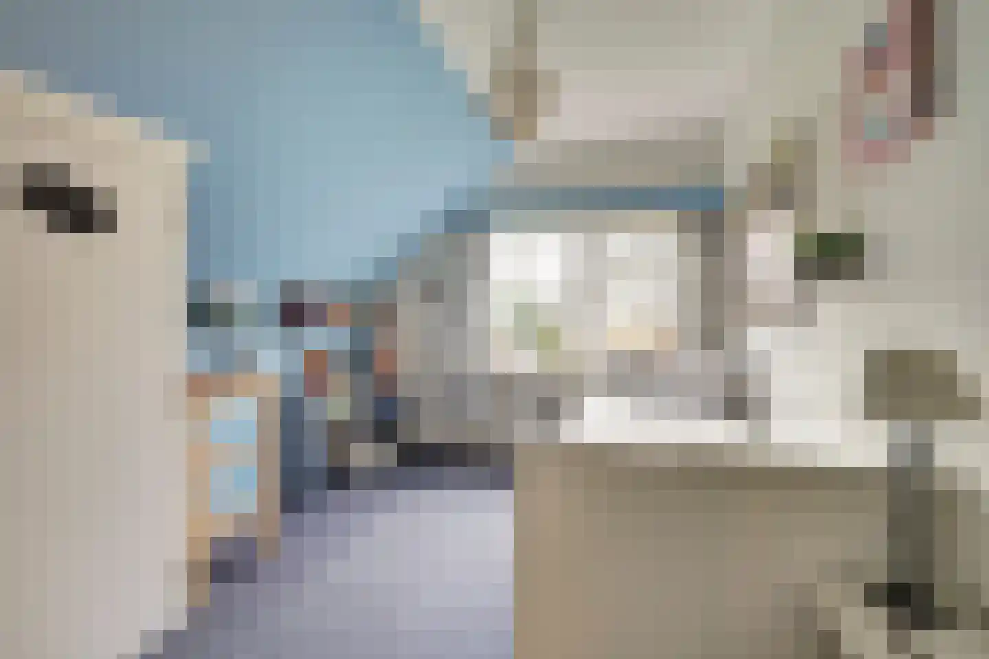 Schelpweg 21 Ellemeet thumbnail 31
