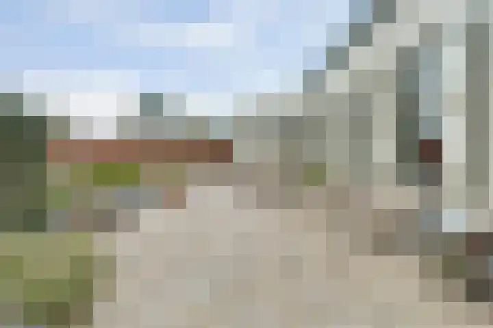 Schelpweg 21 Ellemeet thumbnail 33