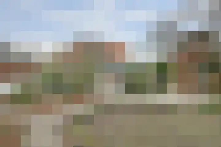 Schelpweg 21 Ellemeet thumbnail 35