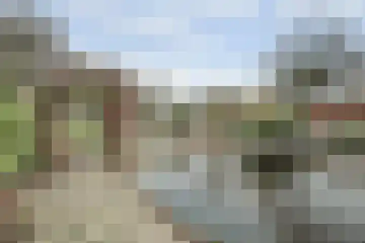 Schelpweg 21 Ellemeet thumbnail 36