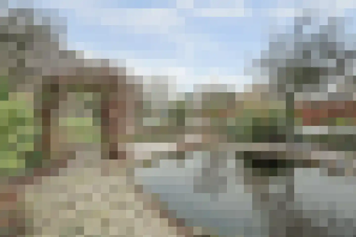 Schelpweg 21 Ellemeet thumbnail 36