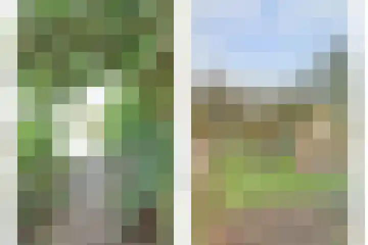 Schelpweg 21 Ellemeet thumbnail 38