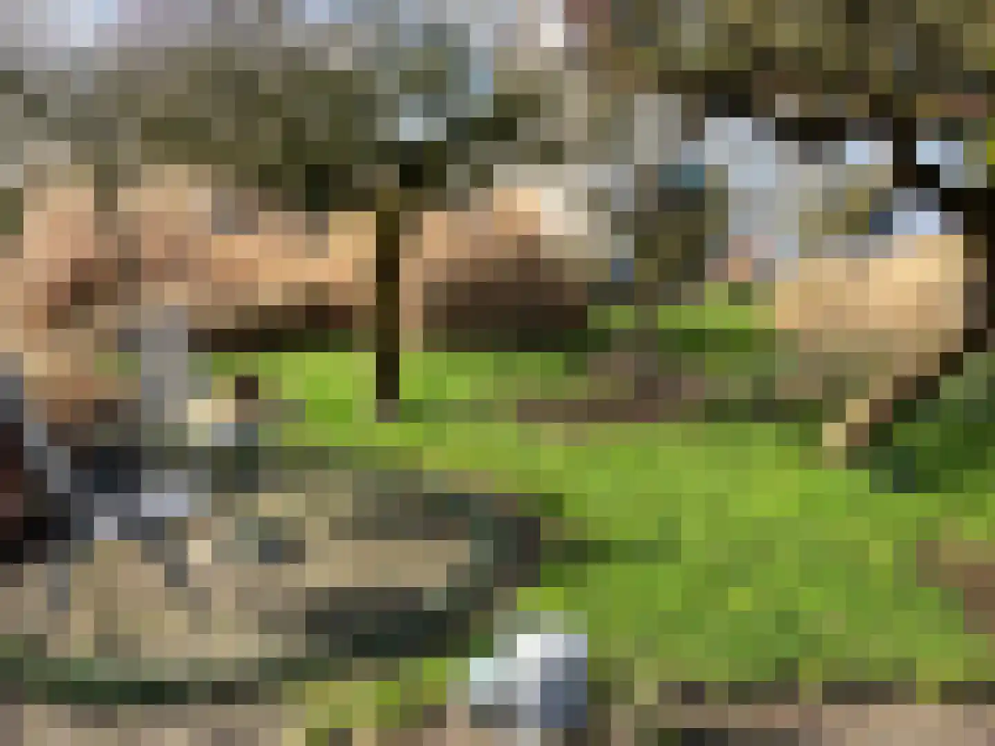 Schelpweg 21 Ellemeet thumbnail 39