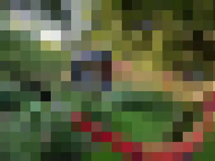Schelpweg 21 Ellemeet thumbnail 40