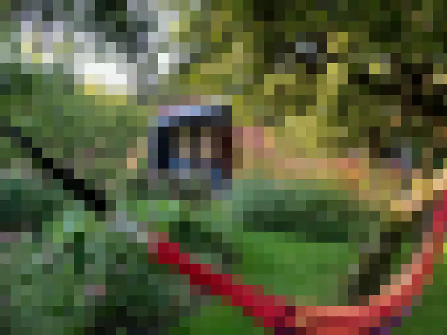 Schelpweg 21 Ellemeet thumbnail 40