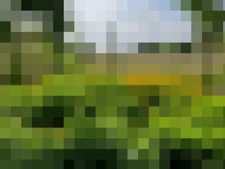 Schelpweg 21 Ellemeet thumbnail 43