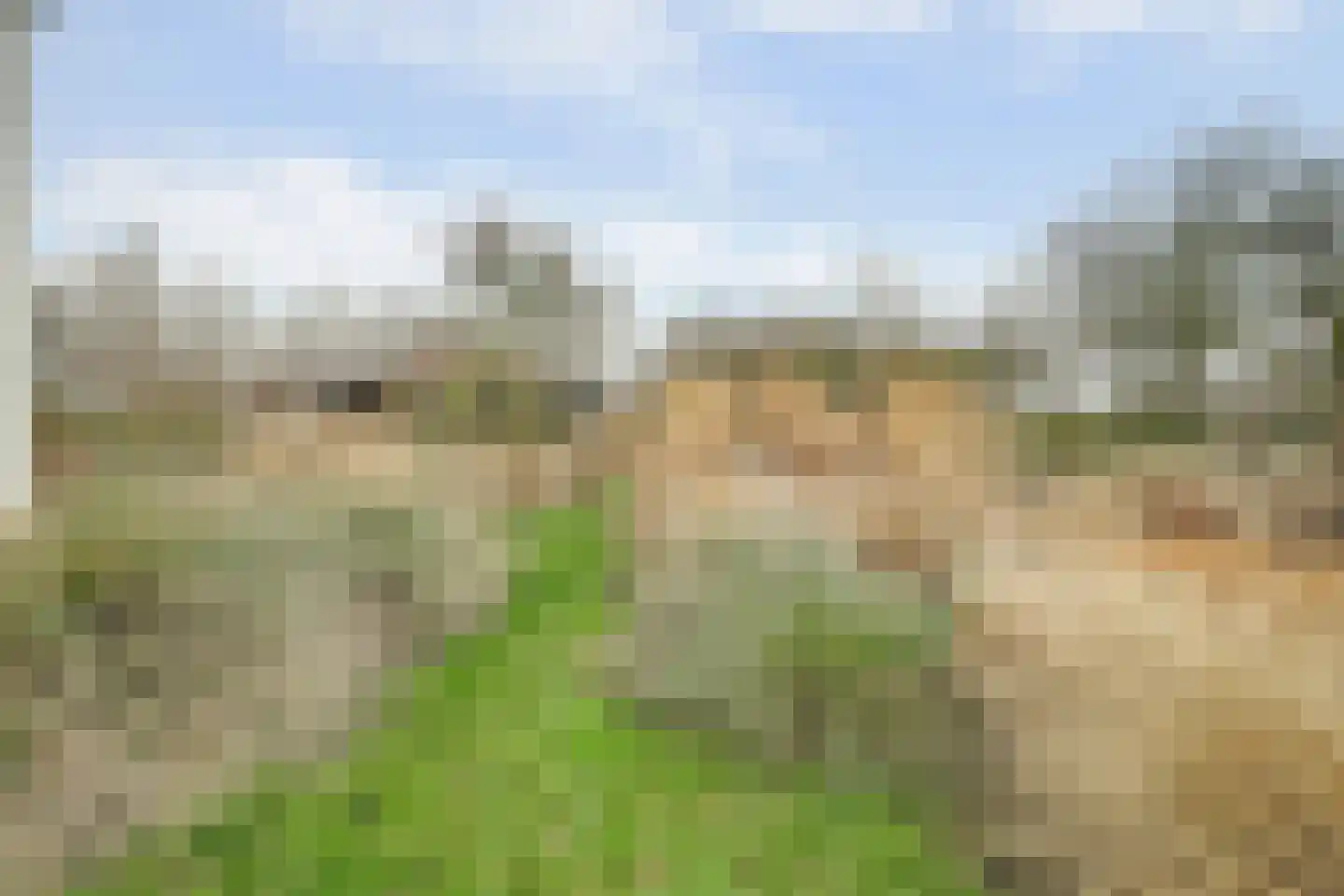 Schelpweg 21 Ellemeet thumbnail 46