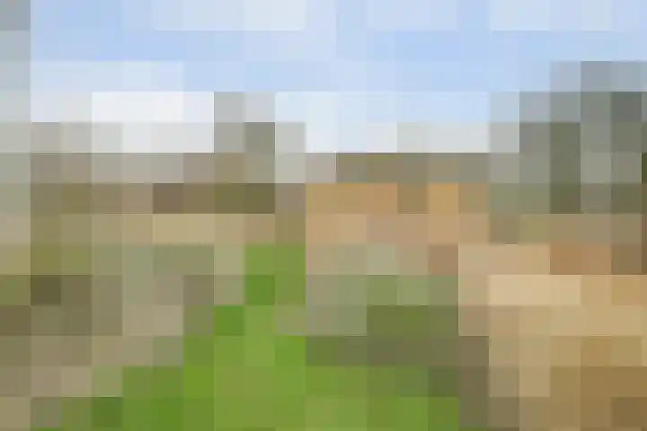Schelpweg 21 Ellemeet thumbnail 46