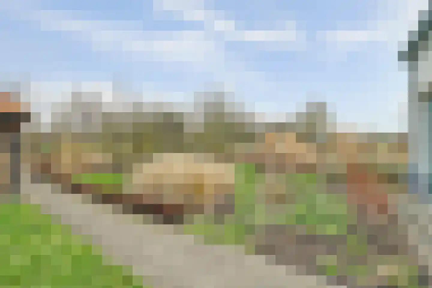 Schelpweg 21 Ellemeet thumbnail 47