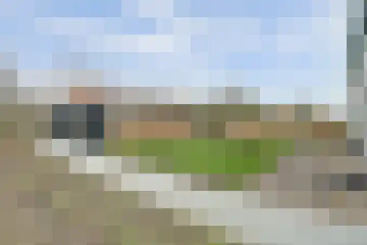 Schelpweg 21 Ellemeet thumbnail 48