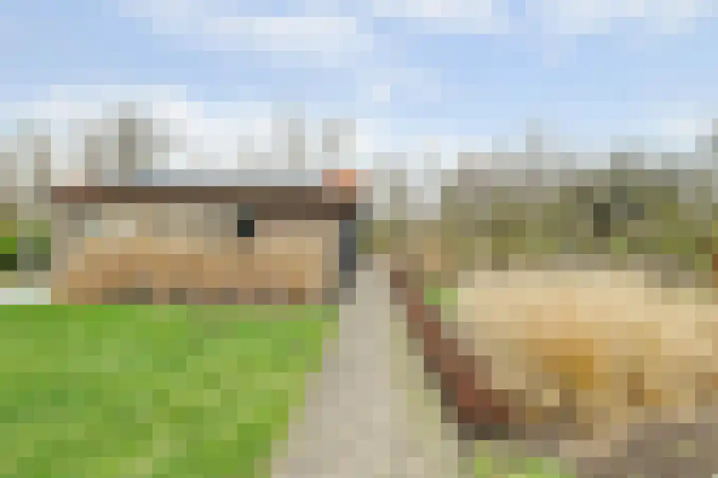 Schelpweg 21 Ellemeet thumbnail 49