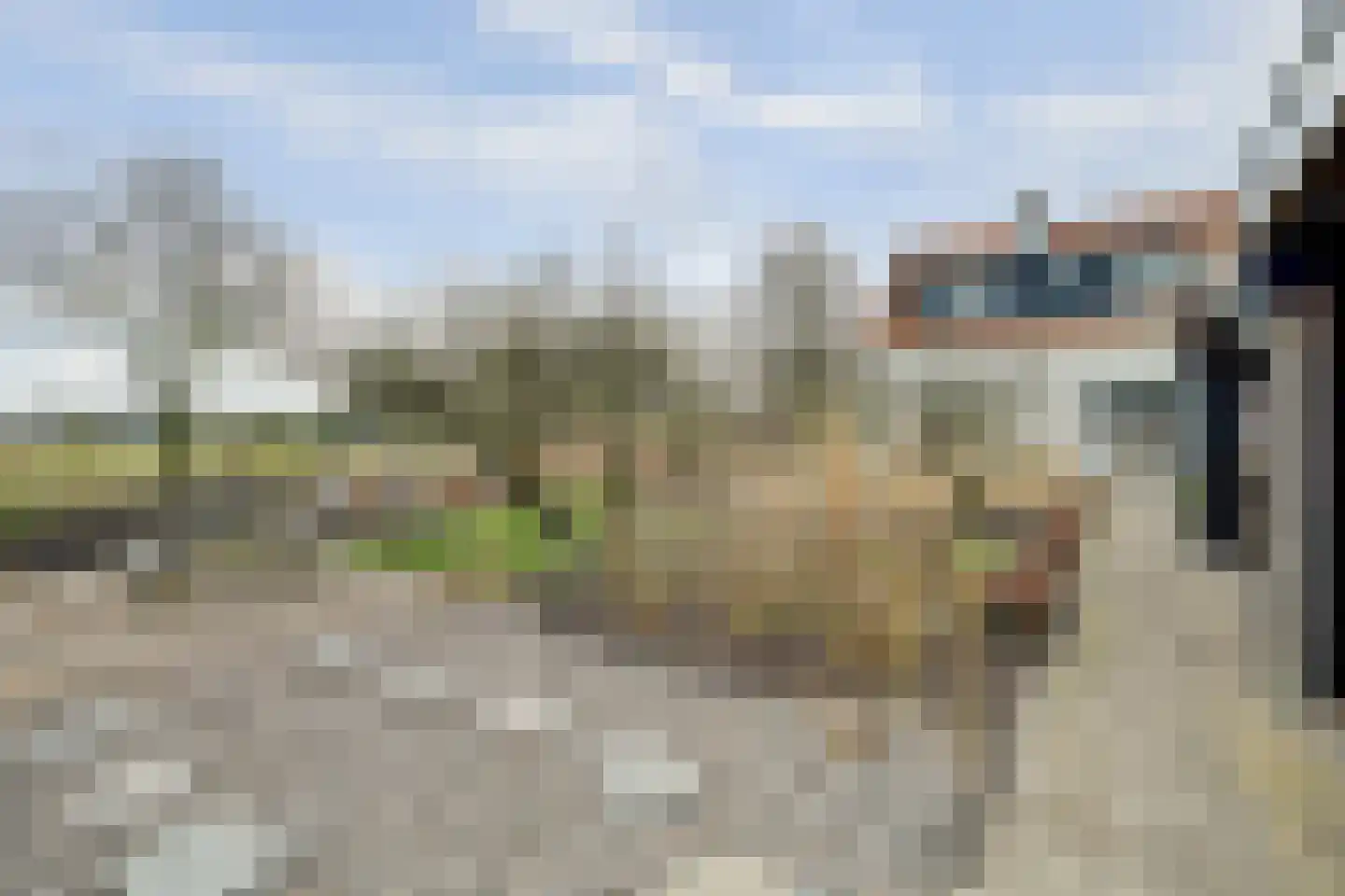 Schelpweg 21 Ellemeet thumbnail 50