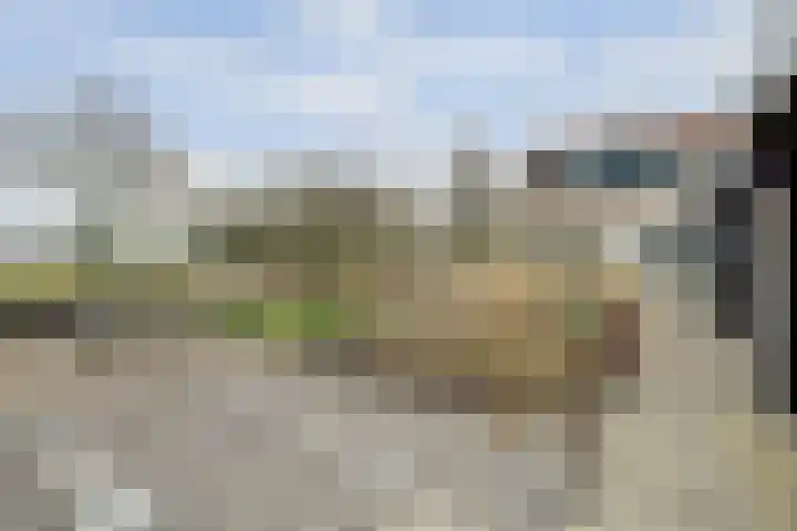 Schelpweg 21 Ellemeet thumbnail 50