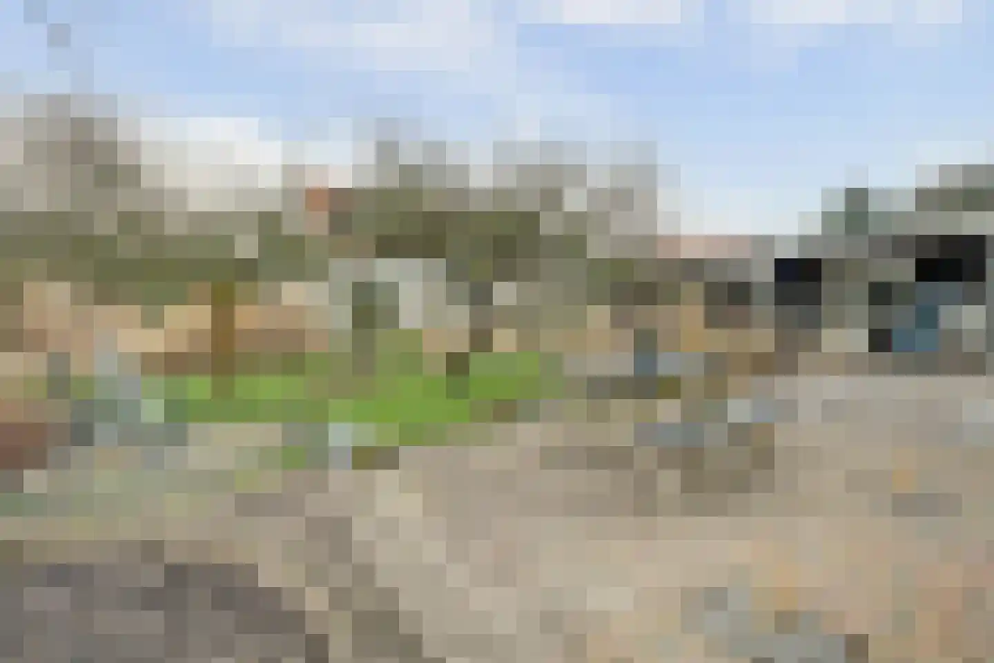 Schelpweg 21 Ellemeet thumbnail 51