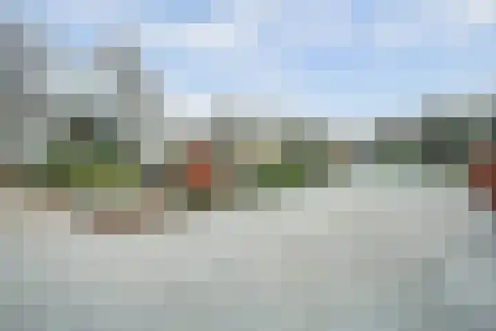 Schelpweg 21 Ellemeet thumbnail 65