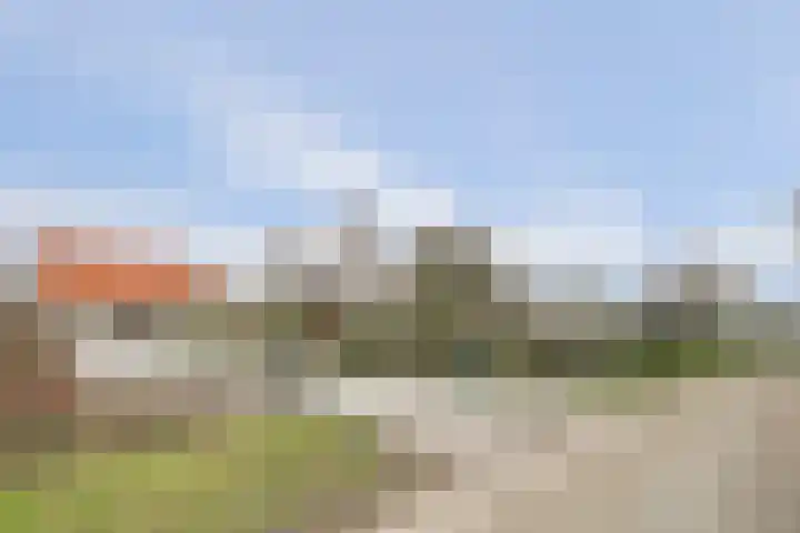 Schelpweg 21 Ellemeet thumbnail 69