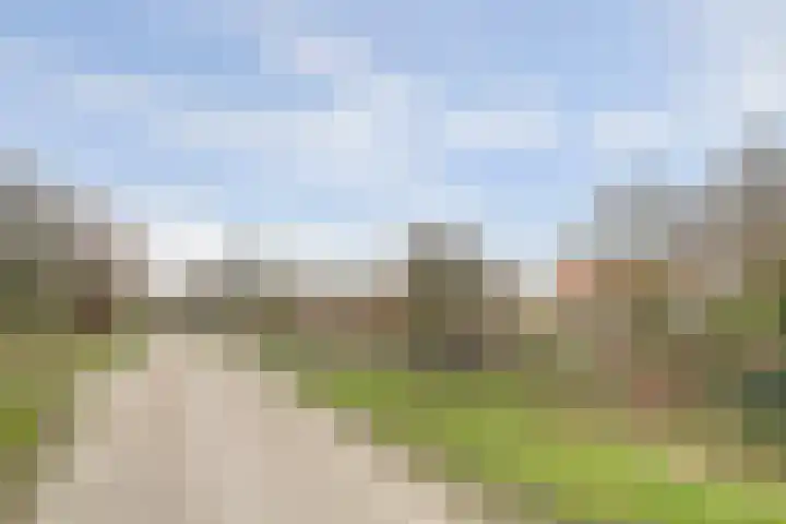 Schelpweg 21 Ellemeet thumbnail 70