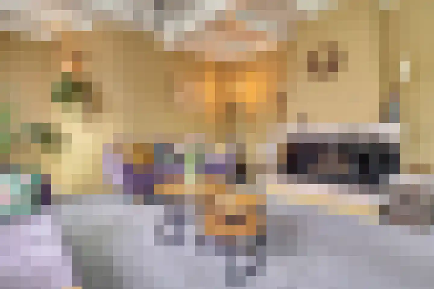 Schelpweg 21 Ellemeet thumbnail 8