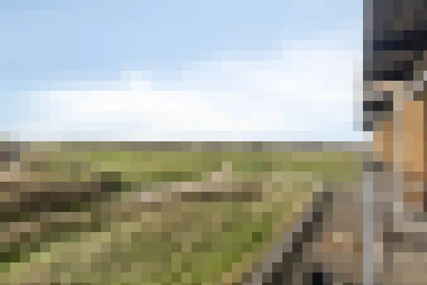 Schelpweg 2414 Domburg thumbnail 19