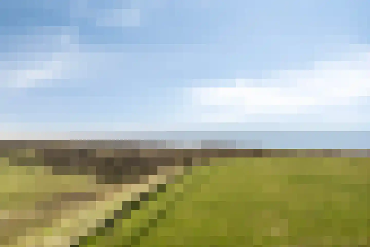 Schelpweg 2414 Domburg thumbnail 34