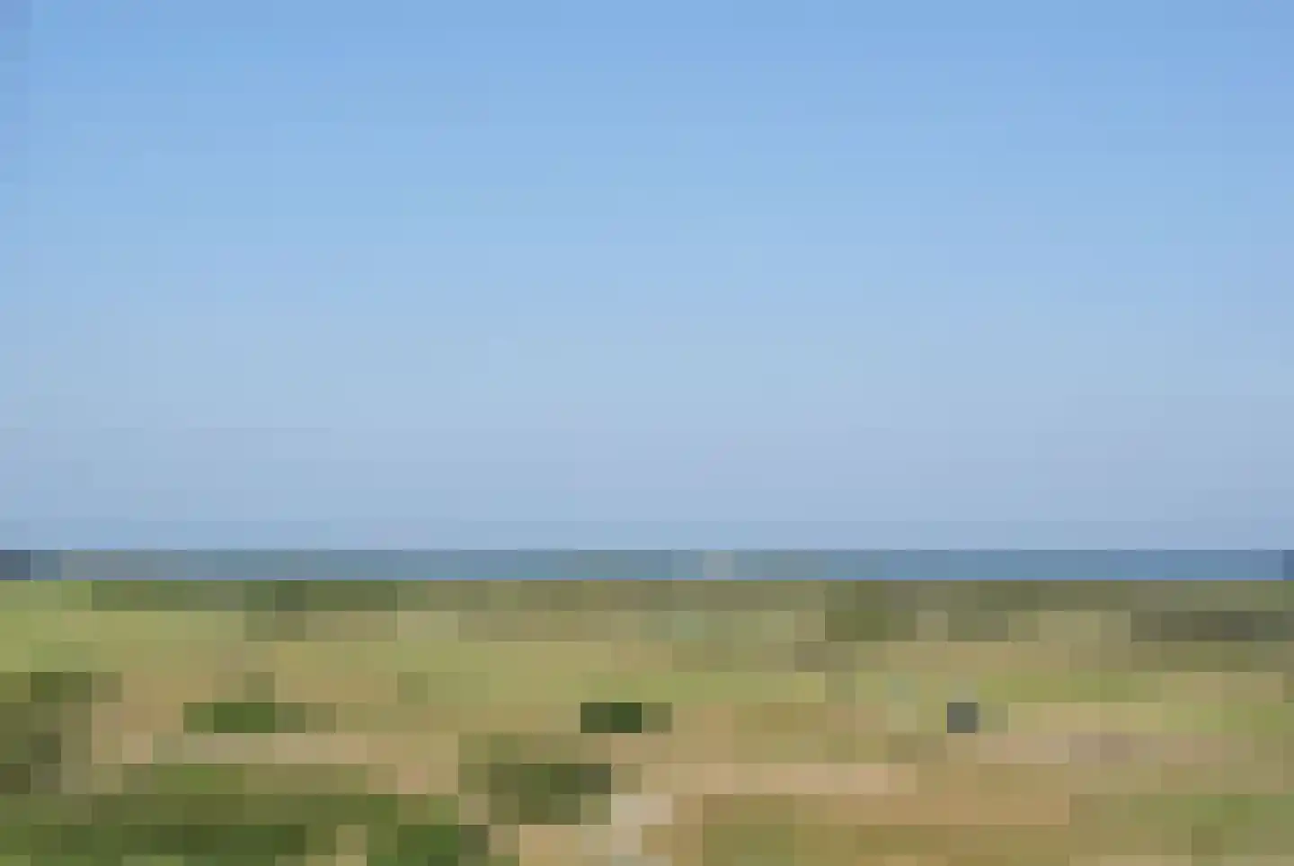 Schelpweg 2420 Domburg thumbnail 29