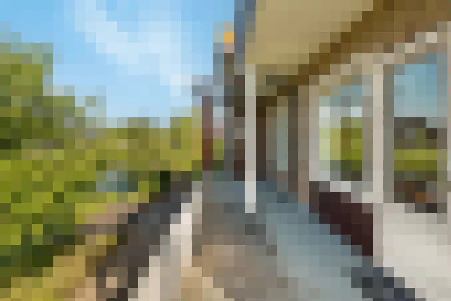 Schelpweg 52 Strijen thumbnail 13