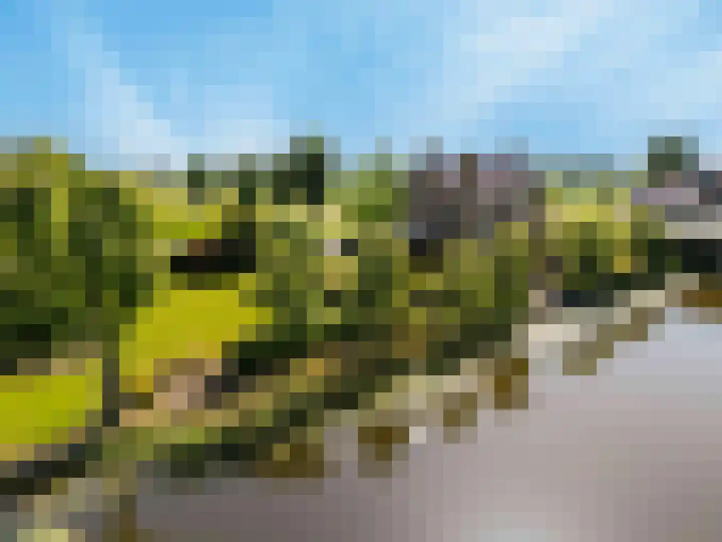 Schelpweg 52 Strijen thumbnail 16
