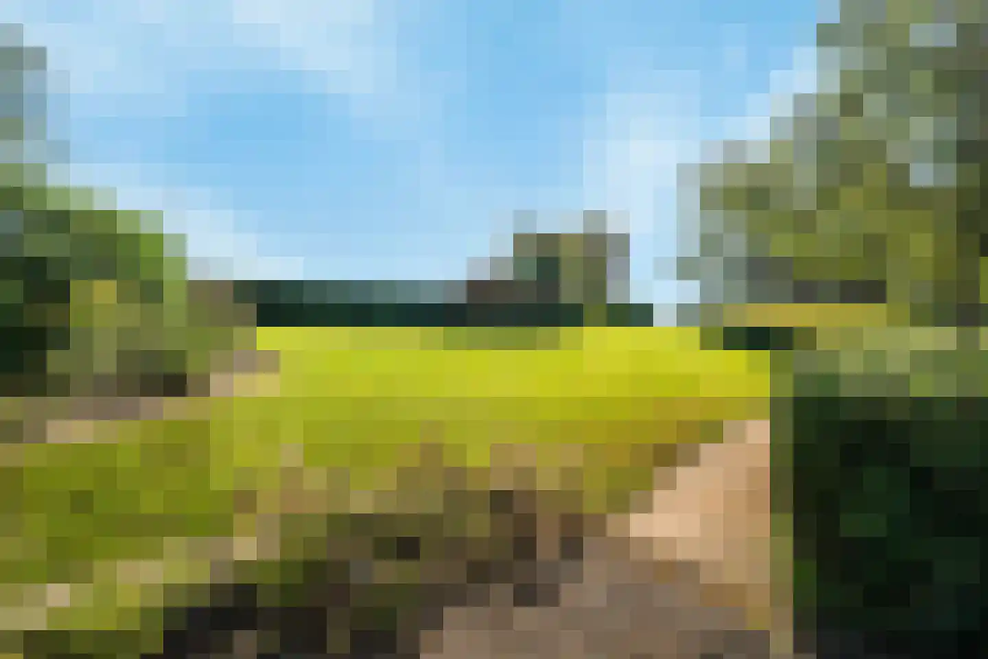 Schelpweg 52 Strijen thumbnail 19