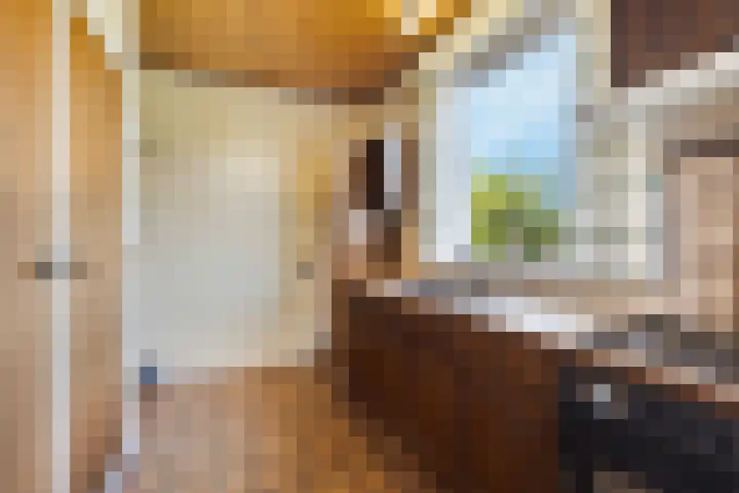 Schelpweg 52 Strijen thumbnail 23