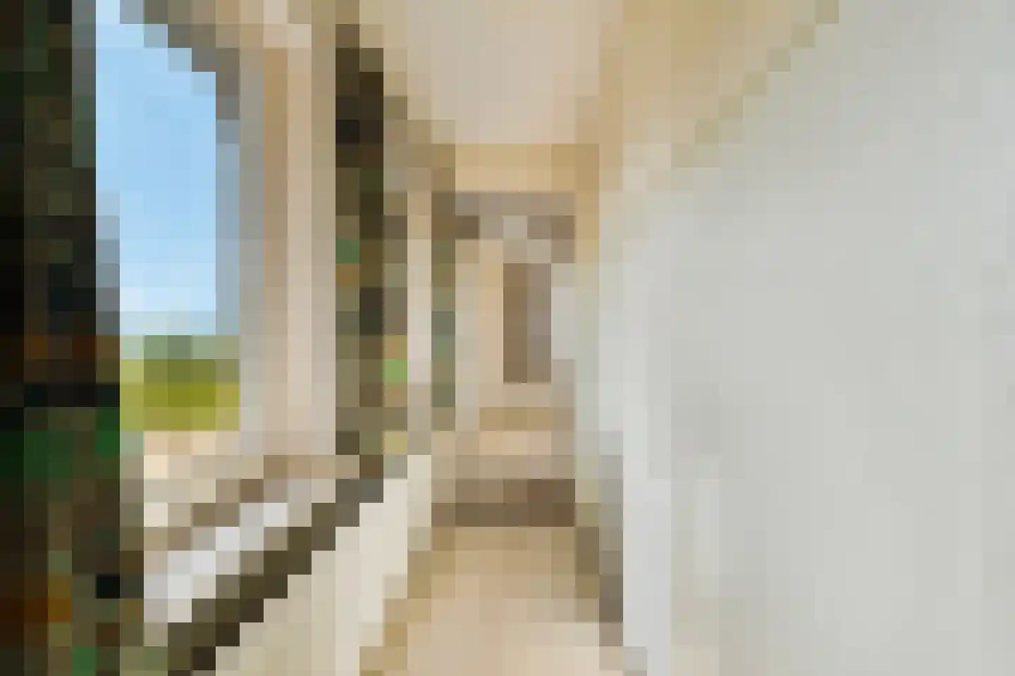 Schelpweg 52 Strijen thumbnail 35